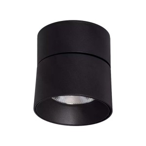 Lampa punktowa Czarna 30W Spot LED 4000-4500K Abruzzo Romeo
