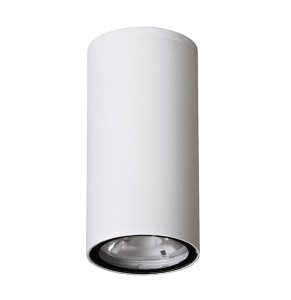 SARAVENA LE71418 Lampa sufitowa zewnętrzna cylindryczna biała z aluminiowo-szklaną oprawą o podwyższonej odporności na warunki atmosferyczne
