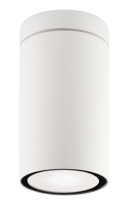 SOGAMOSO LE71423 Lampa sufitowa zewnętrzna cylindryczna biała aluminiowo-szklana o podwyższonej odporności na warunki atmosferyczne