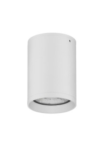 ADALIA LE73538 Lampa sufitowa zewnętrzna cylindryczna aluminiowo-szklana biała o podwyższonej odporności na warunki atmosferyczne