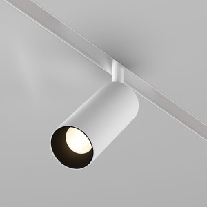 EXILITY Focus LED 12W CCT 36st DALI reflektor biały do szyn magnetycznych
