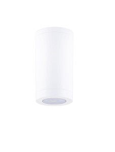 TARAPOTO LE73773 Lampa sufitowa zewnętrzna cylindryczna biała odporna na wilgoć
