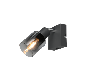 CADIZ R81781042 czarna lampa ścienno sufitowa 1xE14 klosz szkło dymione