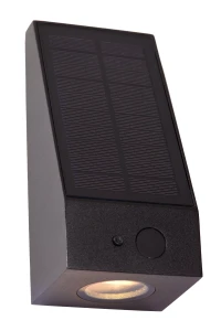 IRWIN 15816/02/30 kinkiet na elewację solar LED 2W IP54 DIM z czujnikiem zmierzchu
