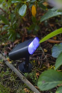 GINBO 6938405330 reflektor solarny LED 7W RGB CCT IP44 z czujnikiem sterowanie aplikacją