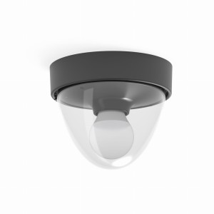 NOOK SENSOR plafon zewnętrzny czarny klosz jajowaty przezroczysty E27 z czujnikiem ruchu