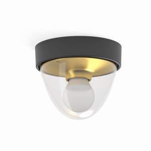 NOOK SENSOR plafon zewnętrzny czarny/złoty klosz jajowaty przezroczysty E27 z czujnikiem ruchu