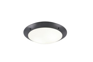 CAMARO R60502042 lampa zewnętrzna fi 33cm antracyt IP54 2xE27