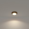 10798-1.jpg