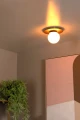79187-01-02 sf1.webp