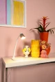 18660-05-31 sf1.webp