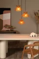10420-03-72 sf1.webp