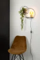 21225-01-30 sf1.webp