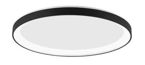 831553e7e4afa3d811eabd68779bc49d