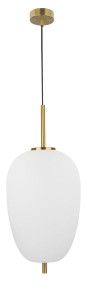 PILAR LE41756 Nowoczesna lampa wisząca o owalnym kloszu Elegancka lampa z metalu i szkła