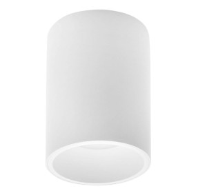 CANUELAS LE61419 Nowoczesna lampa sufitowa cylindryczna z aluminiowym korpusem