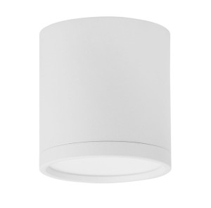 CAUCASIA LE61439 Lampa sufitowa cylindryczna biała zintegrowana LED o ciepłym świetle