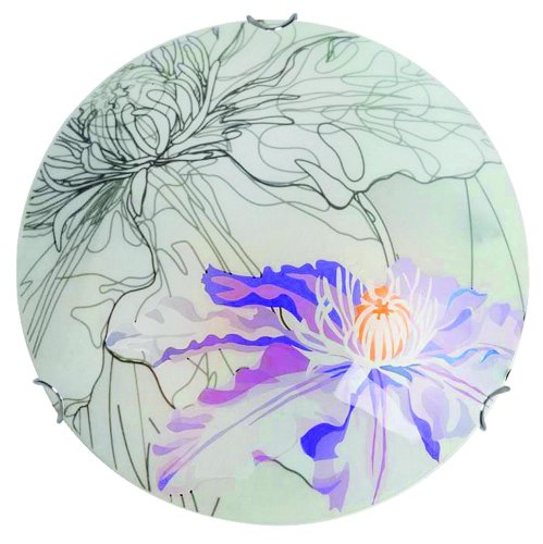 892dc768cc882a334bab0cc0d72a143c