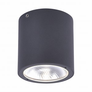 9673-13 GEORG CEILING LIGHT, ANTHRAZIT