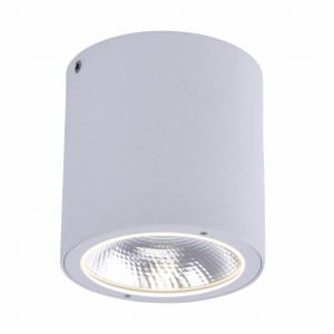 9673-16 GEORG CEILING LIGHT, WHITE