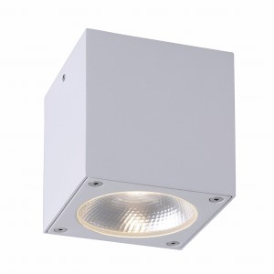 9674-16 GEORG CEILING LIGHT, WHITE
