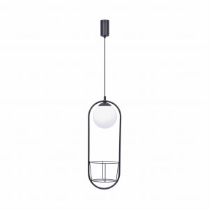 5003 PLANT 1 PENDANT LAMP