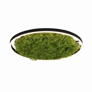 15392-66 LAMPA SUFITOWA GREEN RITUS