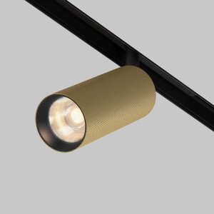 EXILITY ARTISAN LED 12W 3000K 36st spot złoty do szyn magnetycznych