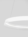 ecb04bef6c66bed8ba165395d6a829f6