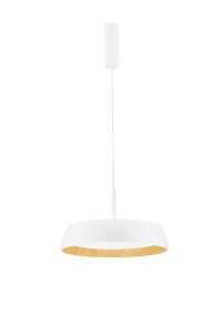 CARACOLLO LE44813 Lampa wisząca LED o nowoczesnym kształcie i drewnianym akcentem