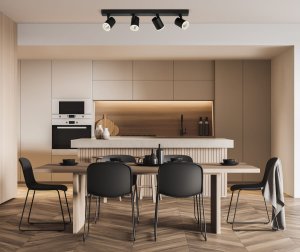 HELVIA reflektorki sufitowe czarne z białymi ringami LED 20W 4000K regulowane SPL-31991-4B-BK