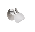 R80171007.png