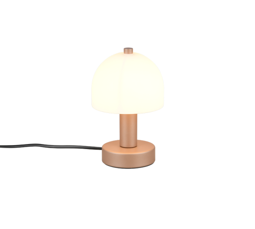 R51961065.png