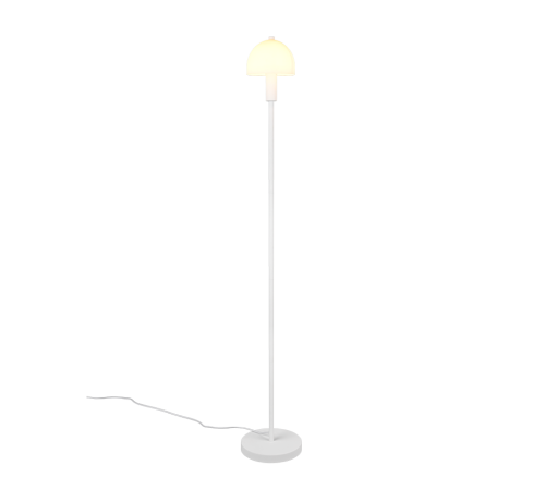 R41961031.png