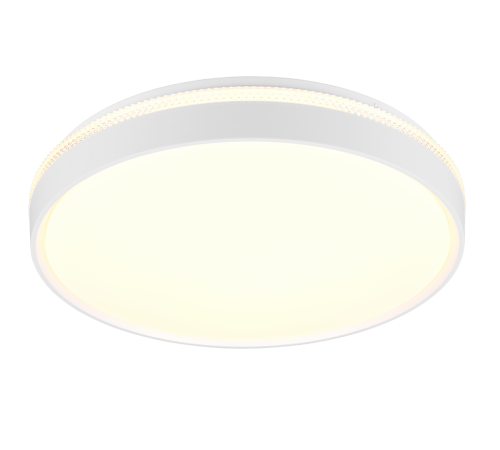 R64851131.png