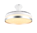 R67382187.png