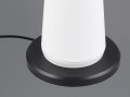 R57716131_4.jpg