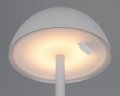 R54106177_1.jpg