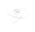 R62101131.png