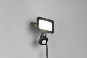 FUNCHAL R23349132 naświetlacz LED 20W 4000K IP44 z czujnikiem