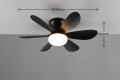 R67462132_d.jpg
