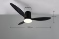 R64202132_d.jpg