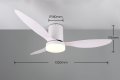 R64202131_d.jpg