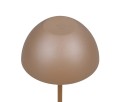 R55601165_1.jpg