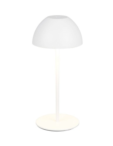 R55601131.jpg