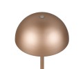 R54891165_2.jpg
