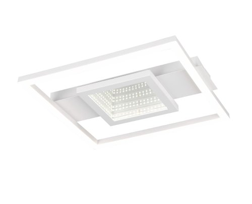 R64801931.jpg