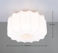 R61971901_d.jpg