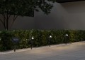 R83256332_A.jpg