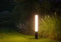 11374-3.webp